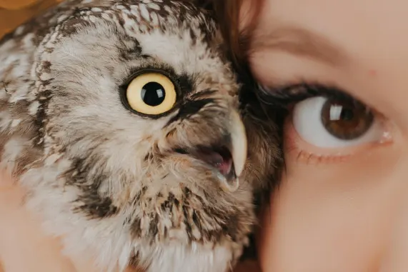 MatchUp Casino Podrška